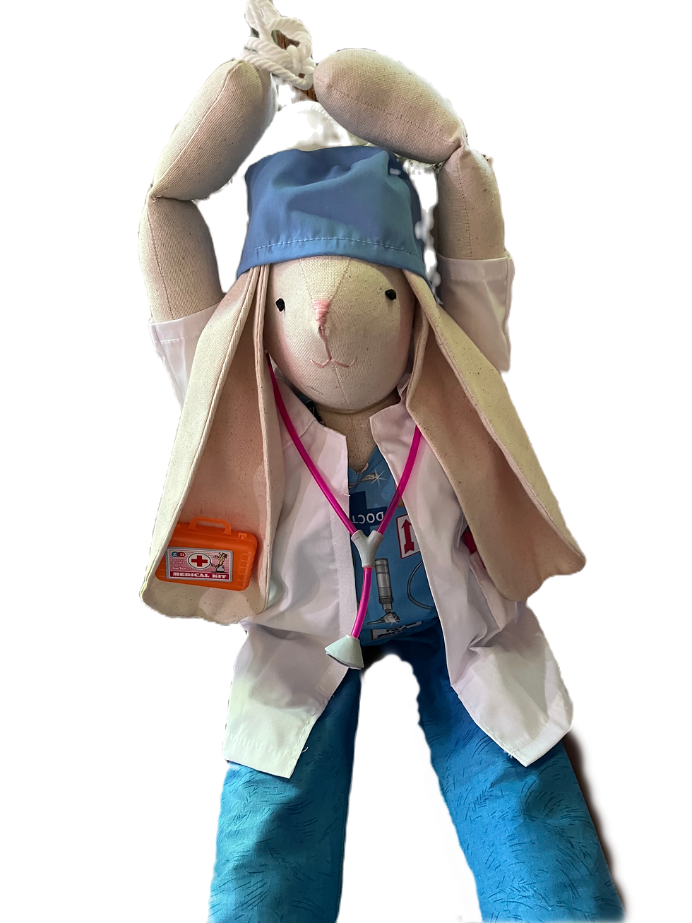 Thumbnail: Doctor Trust Bunny
