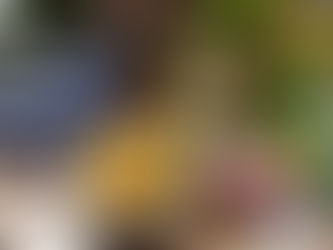 波士顿唐人街的第一个中秋节