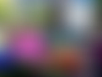 Local farm advocates for funding state Health Incentive Program