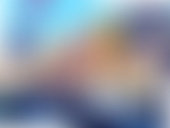 美国援助计划——援助计划对中国城的影响