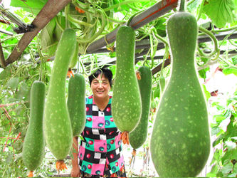 Preview: Immigrant History Trail Paves Way for Chinatown’s Legacy