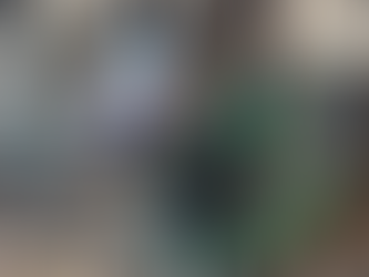 Animal shelters stay active during shutdown as foster care increases for pets without homes