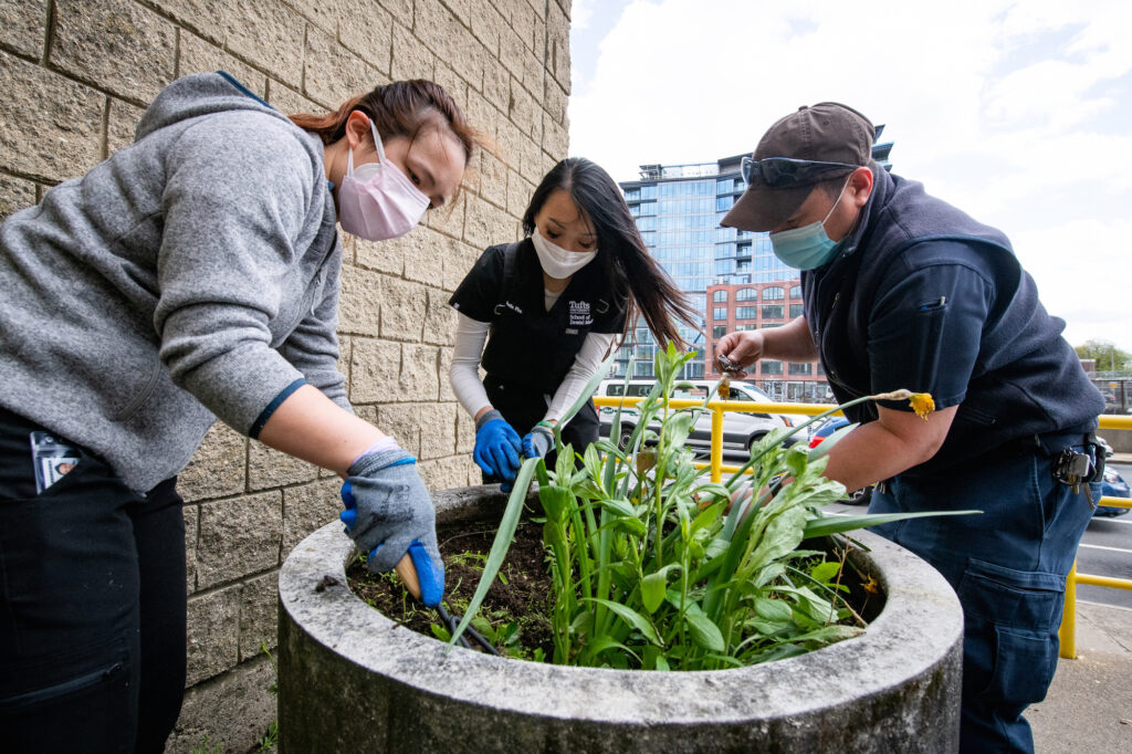 (Photo courtesy of Tufts University)