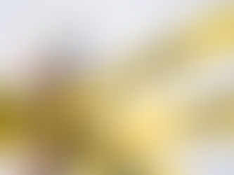 Gun Rights in Massachusetts: What are the Next Steps After the Supreme Court Decision?