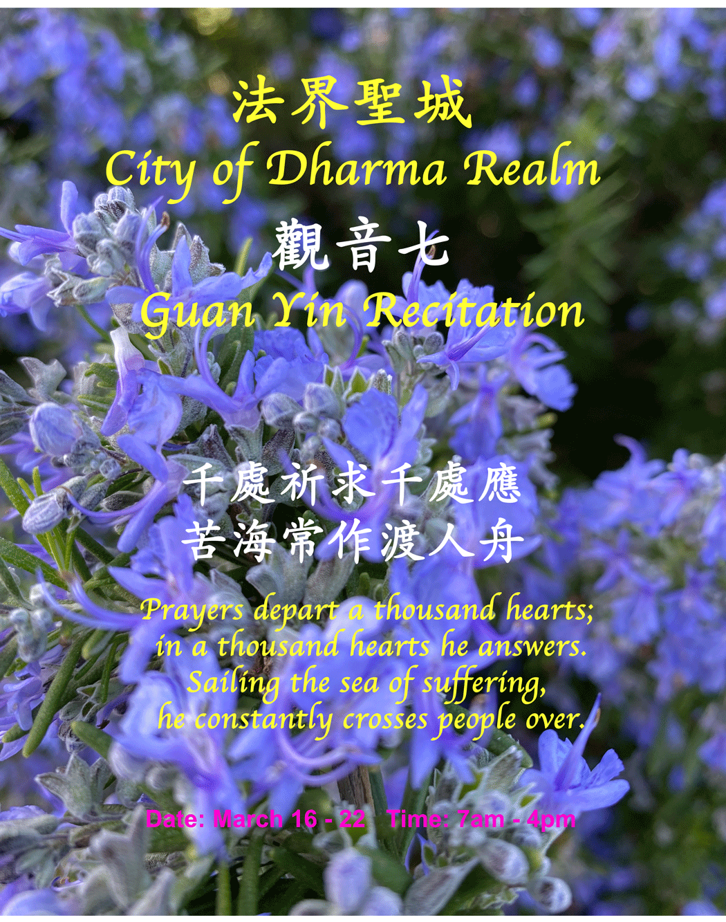 GuanYin 3-16 2025.gif
