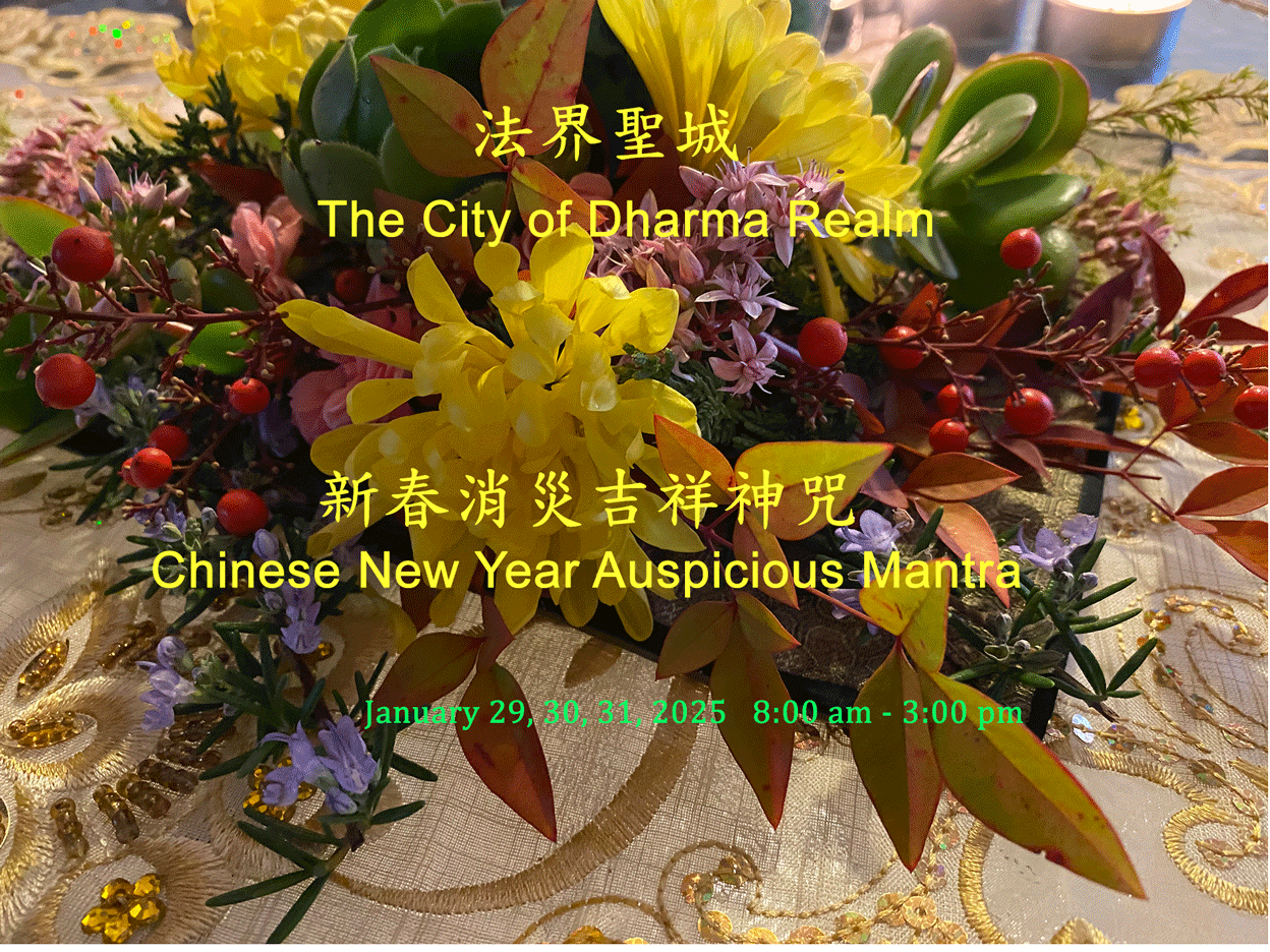 Mantra 1-29-30-31 2025.gif