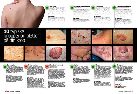 Vinder af European Newspaper Award 2015 for bedste avisdesign i kategorien Visual Storytelling