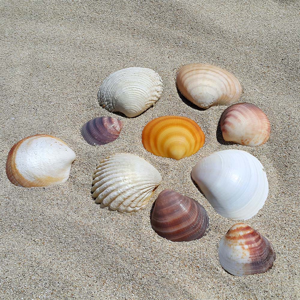 On-Brand Tone & Style ⟶