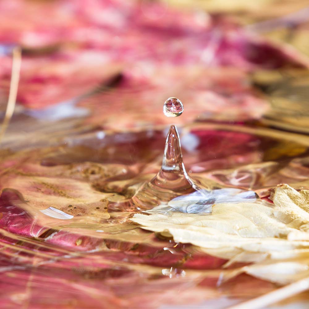 Conversion-Focused Copywriting ⟶