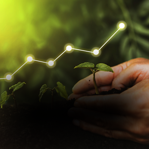 achieving sustainable growth