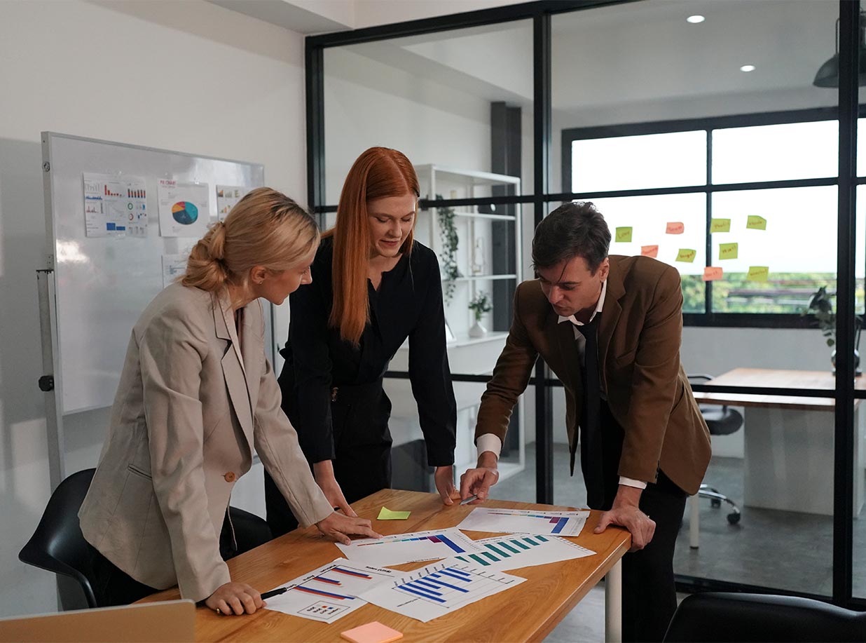 Behaviour & Audience Insights