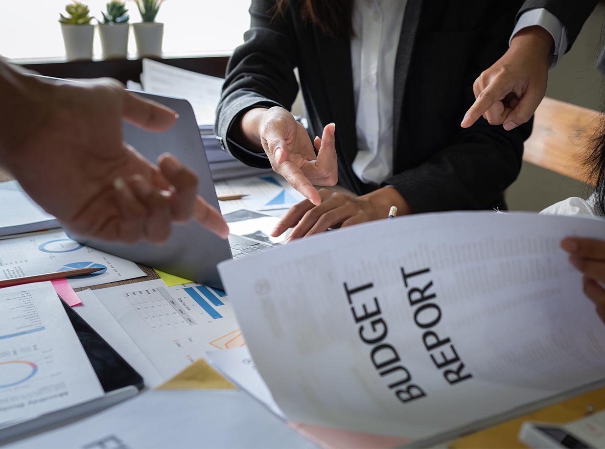 Dynamic Budget Optimisation