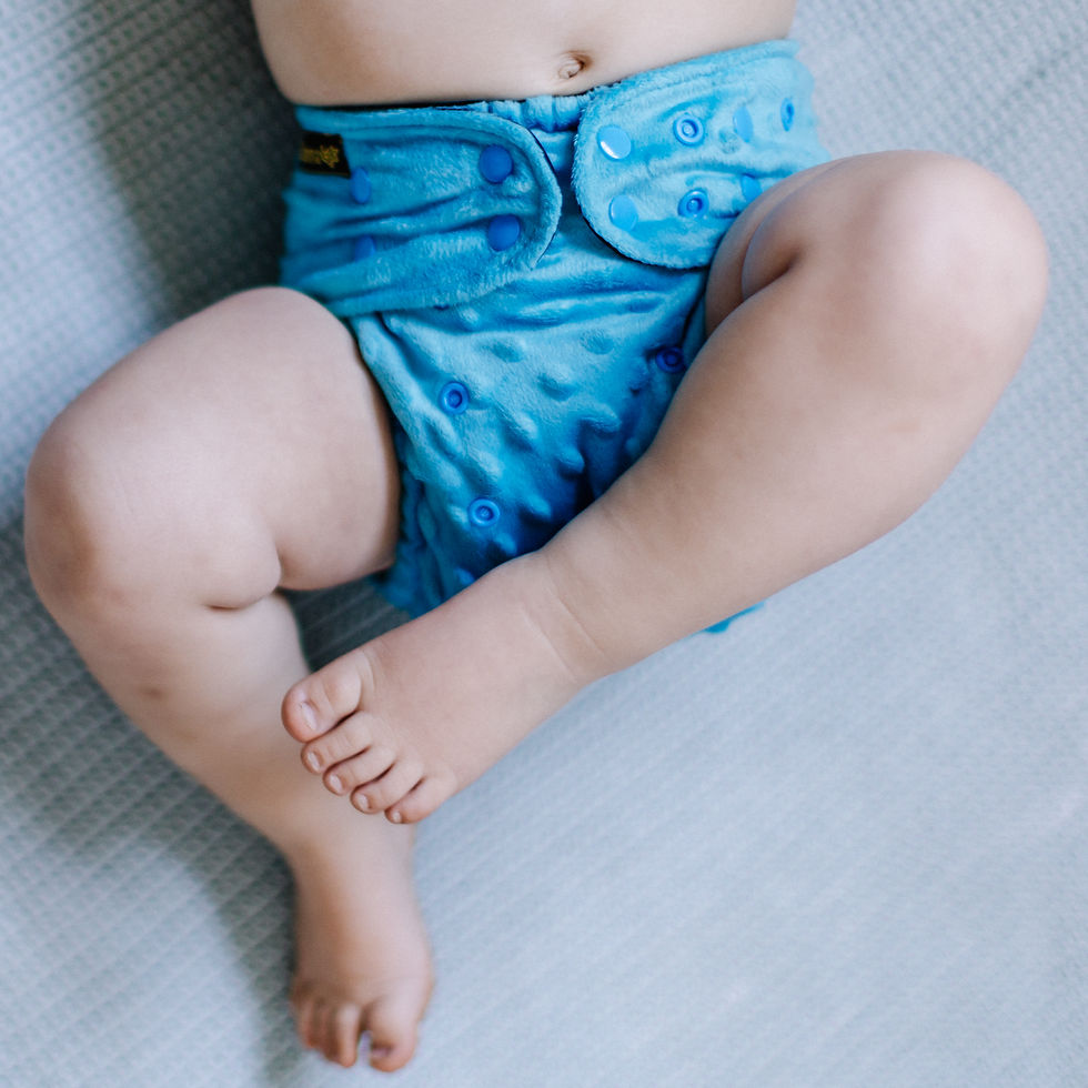 Minky Waterproof Covers OSFM