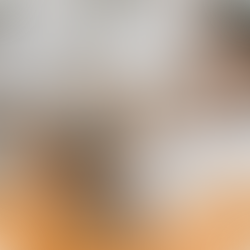 Terapia Online: Un Espacio Seguro para Sanar