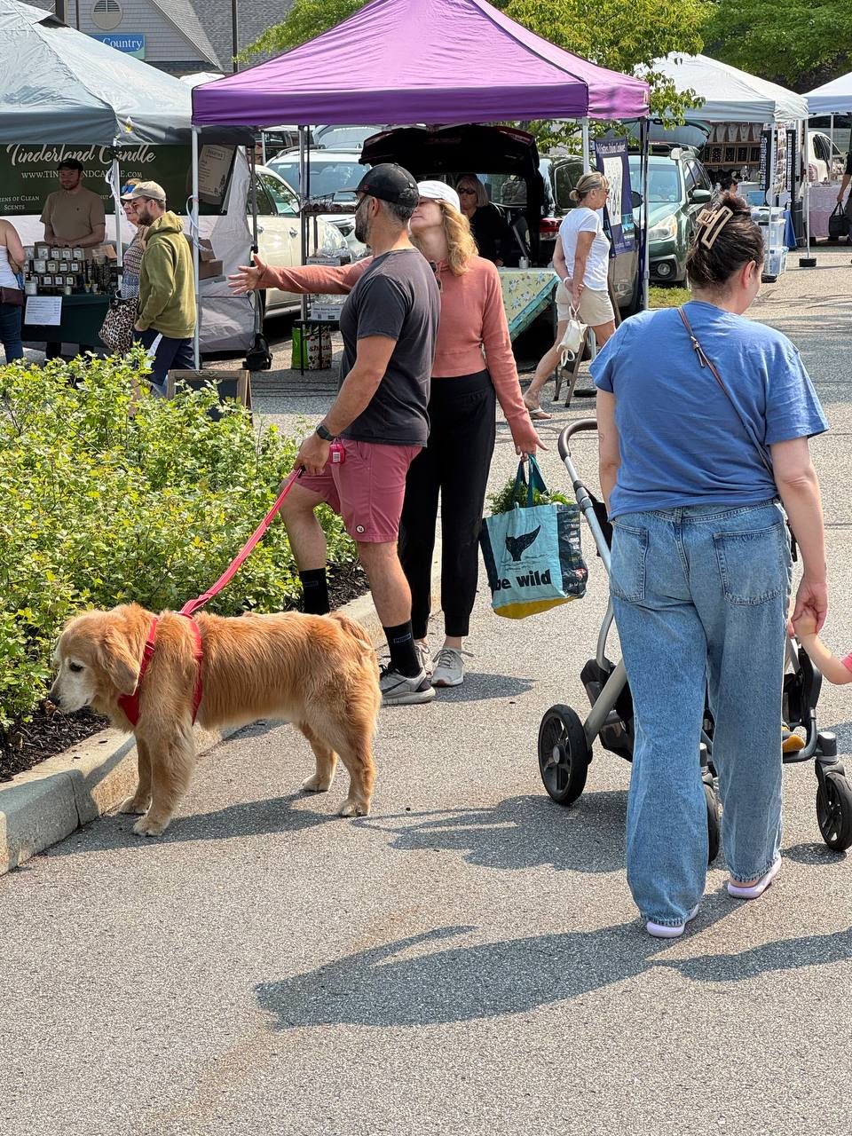 photo_2_2026-02-24_12-18-19