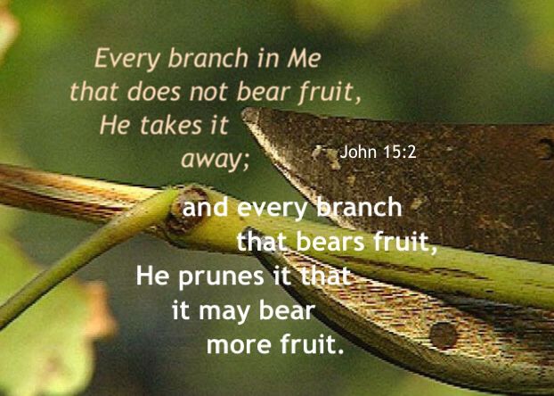 A Reminder Of Humility John 152