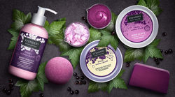 Blackcurrant_2017_Product_composition_taste_preview