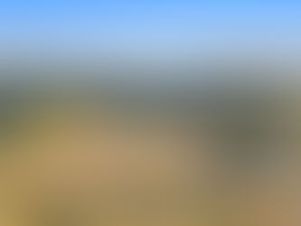 Mt Royal Airpark - Florida