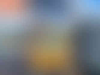 Maran Airport - Florida