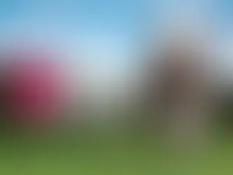 Les événements à ne pas manquer au Salon International de l'Agriculture 2024