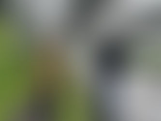 L’agroécologie : oui… mais qui pour en payer le prix ?