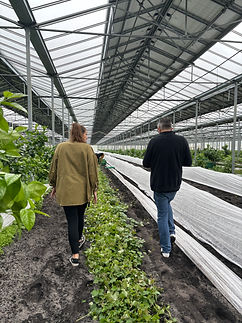 filière fruits et légumes formation la clé des champs