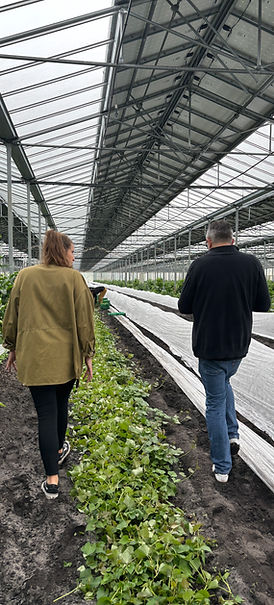 immersion ferme formation la filière fruits et légumes la clé des champs