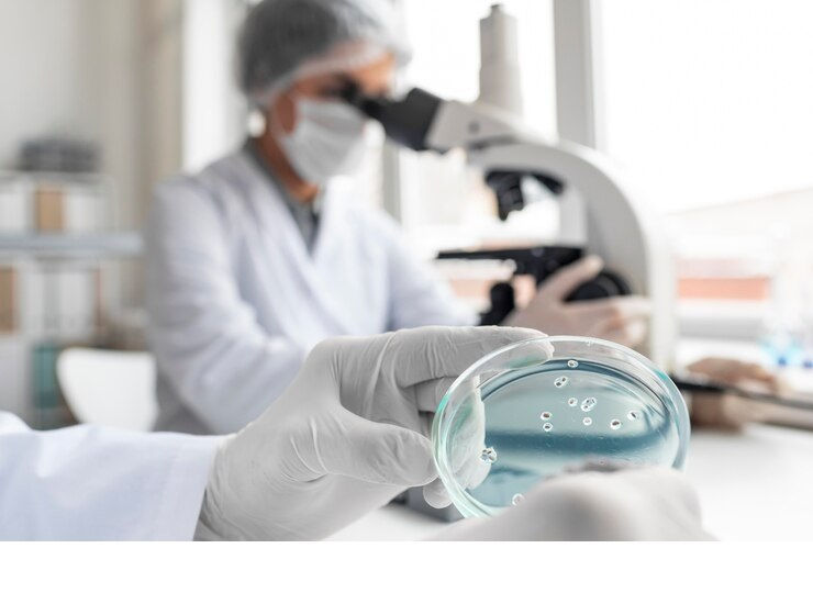 Guia Completo Para Abrir Um Laboratório de Análises Clínicas