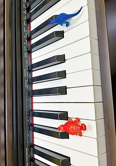 20200723_171122_edited_edited.jpg