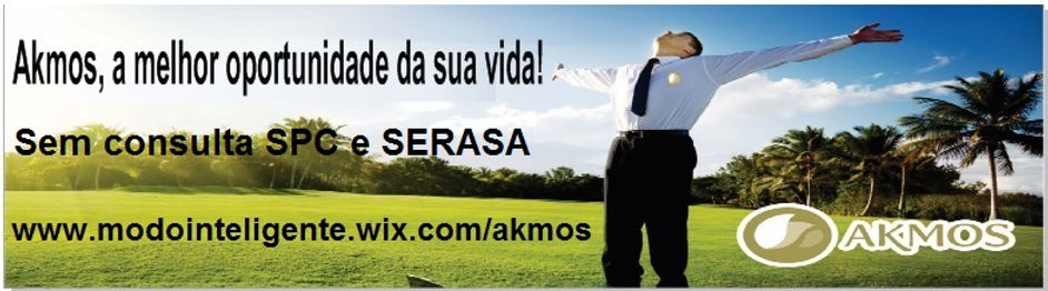 Modointeligente