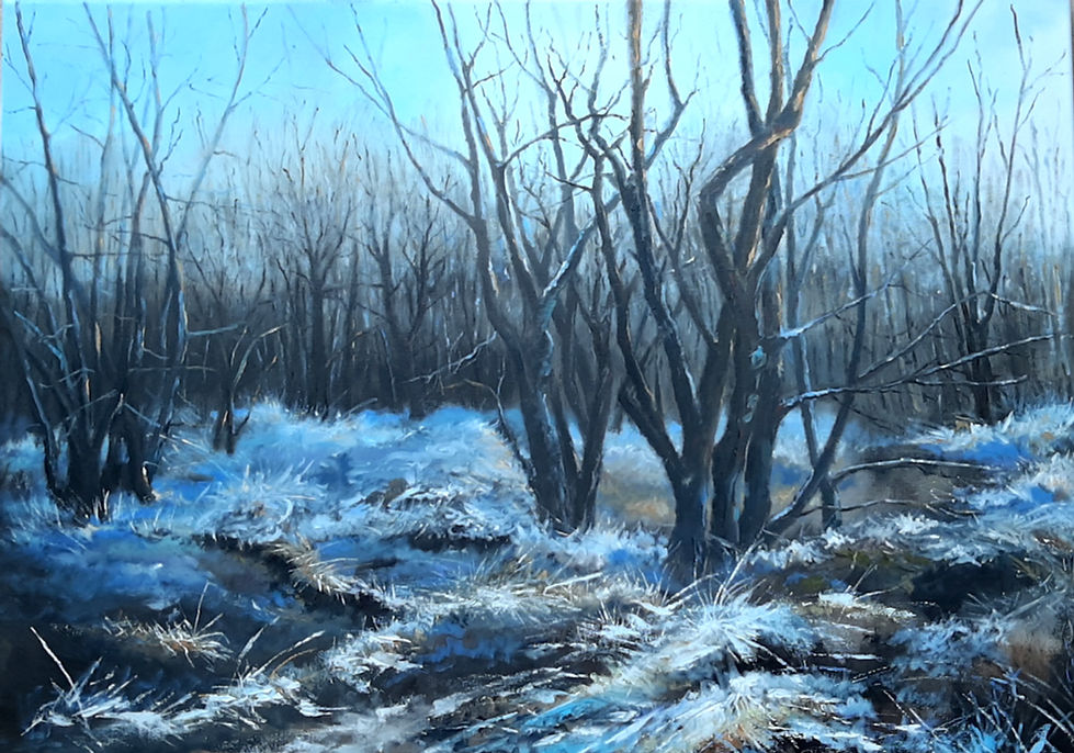rijp in de winter 50 x 70_edited.jpg