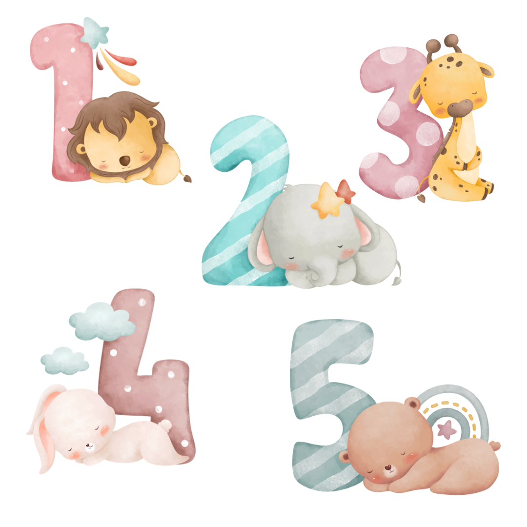 DTF / TRANSFER NUMEROS SAFARI (3)