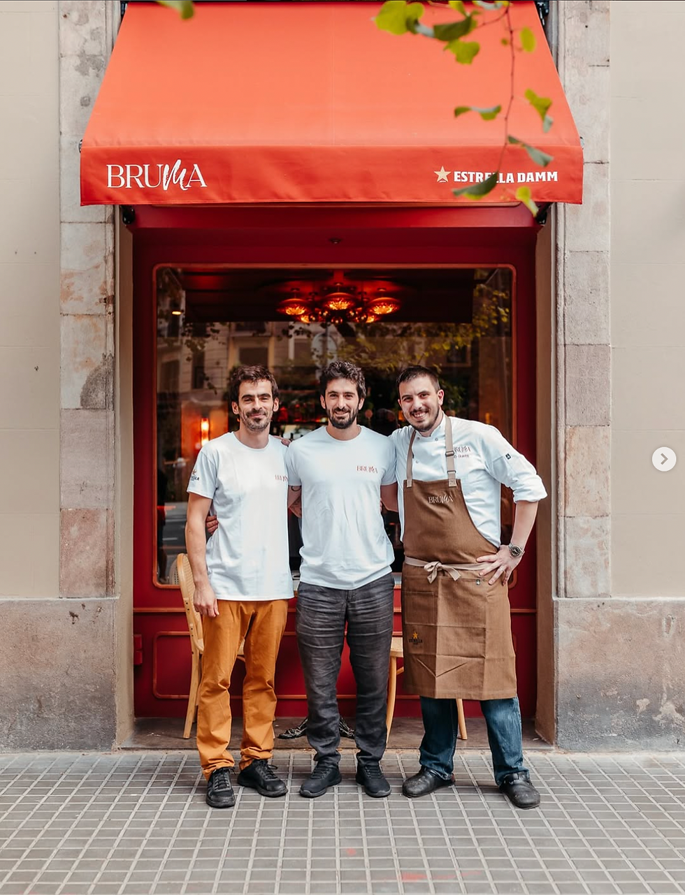 Captura de pantalla 2025-06-17 a las 11.51.51.png