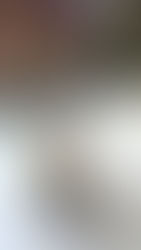 Selbstgemachte vegane Mayo — 3 Varianten die wirklich funktionieren