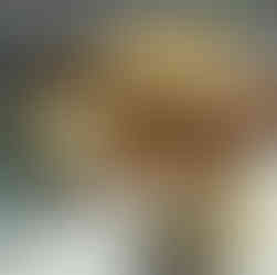 Blätterteighasen mit veganer Frischkäse Bärlauch füllung