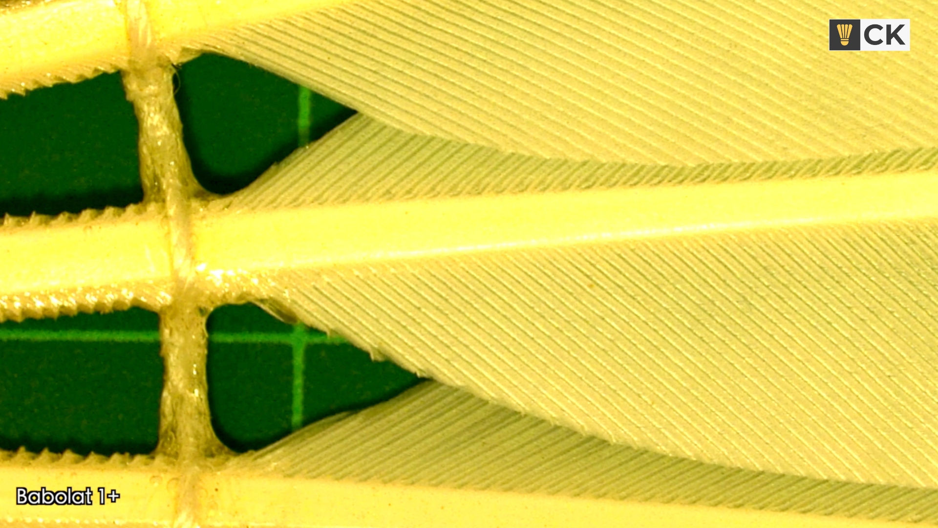 Babolat 1+ badminton shuttlecock under a microscope