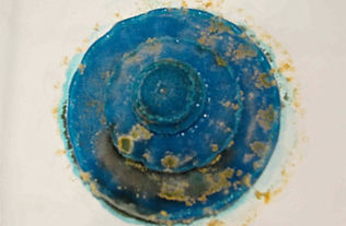 9. Blue mouldy.jpg
