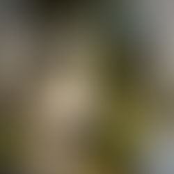 Do I Need a Jacket? Climate Change and the Contradictions of Seasonless Fashion