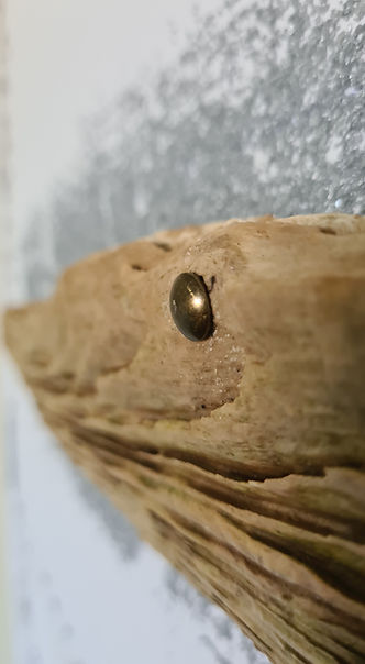 Treibholz Fisch Detail