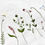 Miniaturbild: DELICATE FLOWERS Geschirrtuch