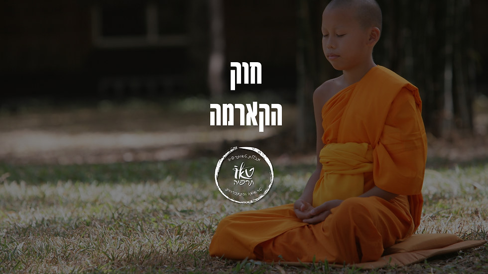 קורס 12 הצעדים - מכללת טאותרפיה