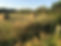 IMG_6048.jpeg