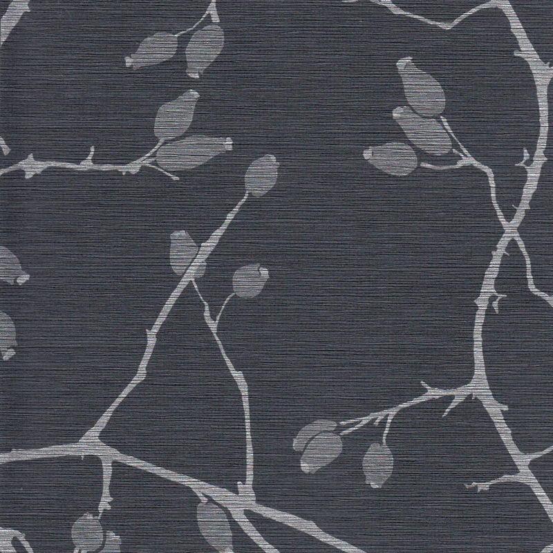 Gray branches with small leaves on a black background.