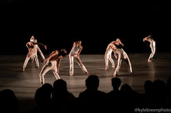 Dana Foglia APAP-139