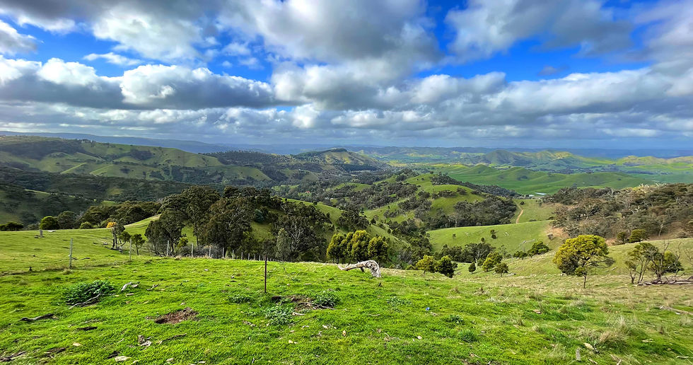 Melbourne Media from Melbourne Australia - Hills.jpg