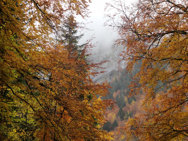Grenoble, France