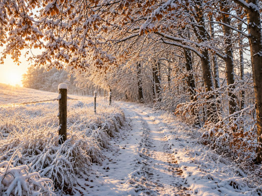 Winterwald Wanderweg