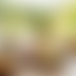 Das Warten hat ein Ende: Endlich Thüringer Spargelzeit im Ehrental! 🌿🍴