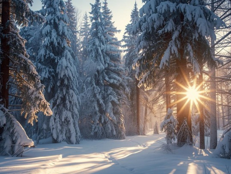 Eine wunderschöne Winterlandschaft mit der Sonne die durch die verschneiten Baumkrohnen leuchtet