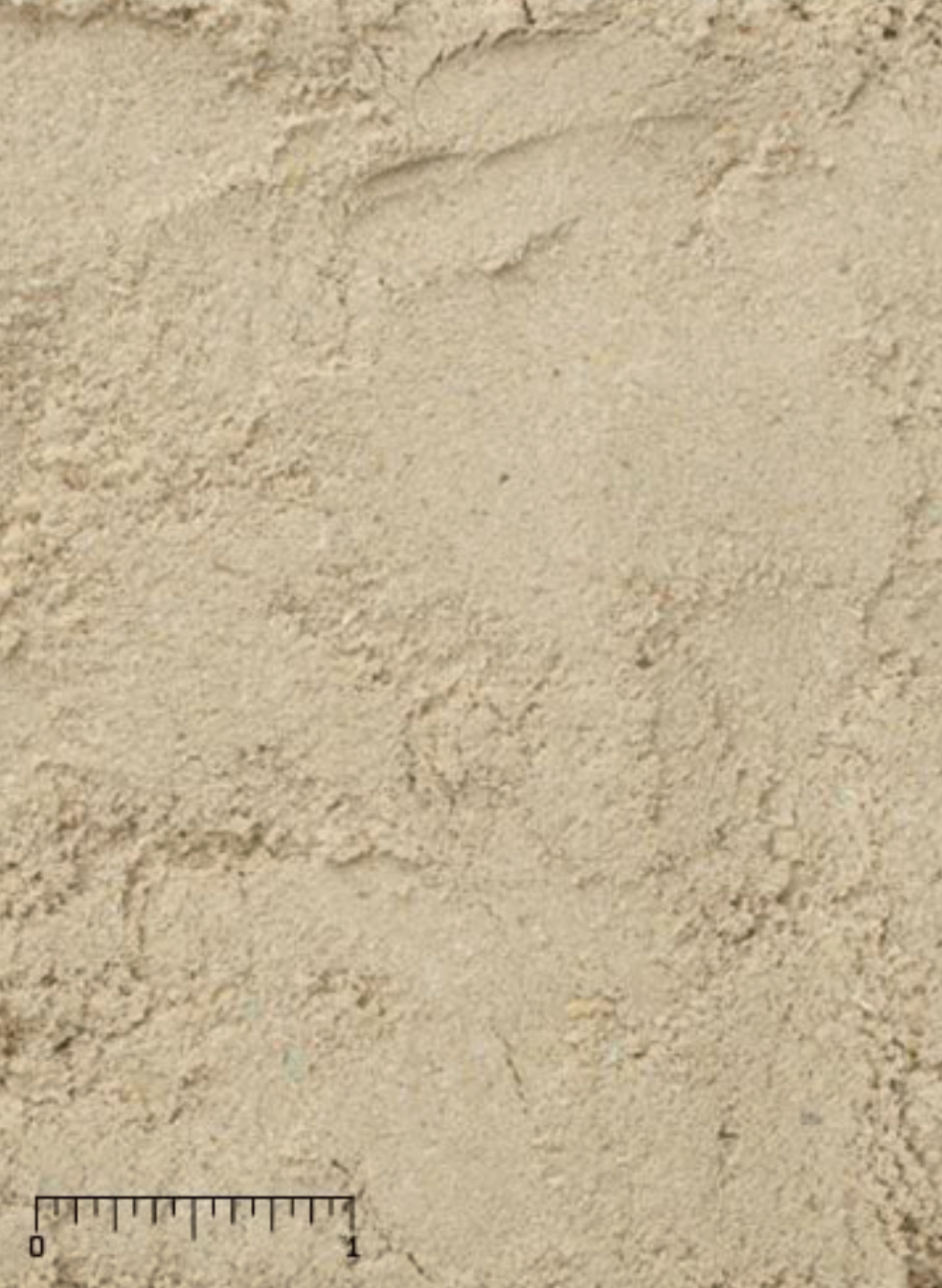 (6- 1KG Canisters) Carnivore Supplement